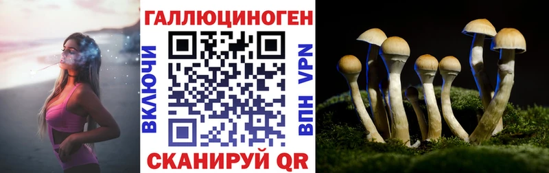 Галлюциногенные грибы Cubensis Рошаль