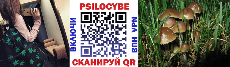 что такое наркотик  Рошаль  гидра как зайти  дарк нет какой сайт  Галлюциногенные грибы ЛСД 